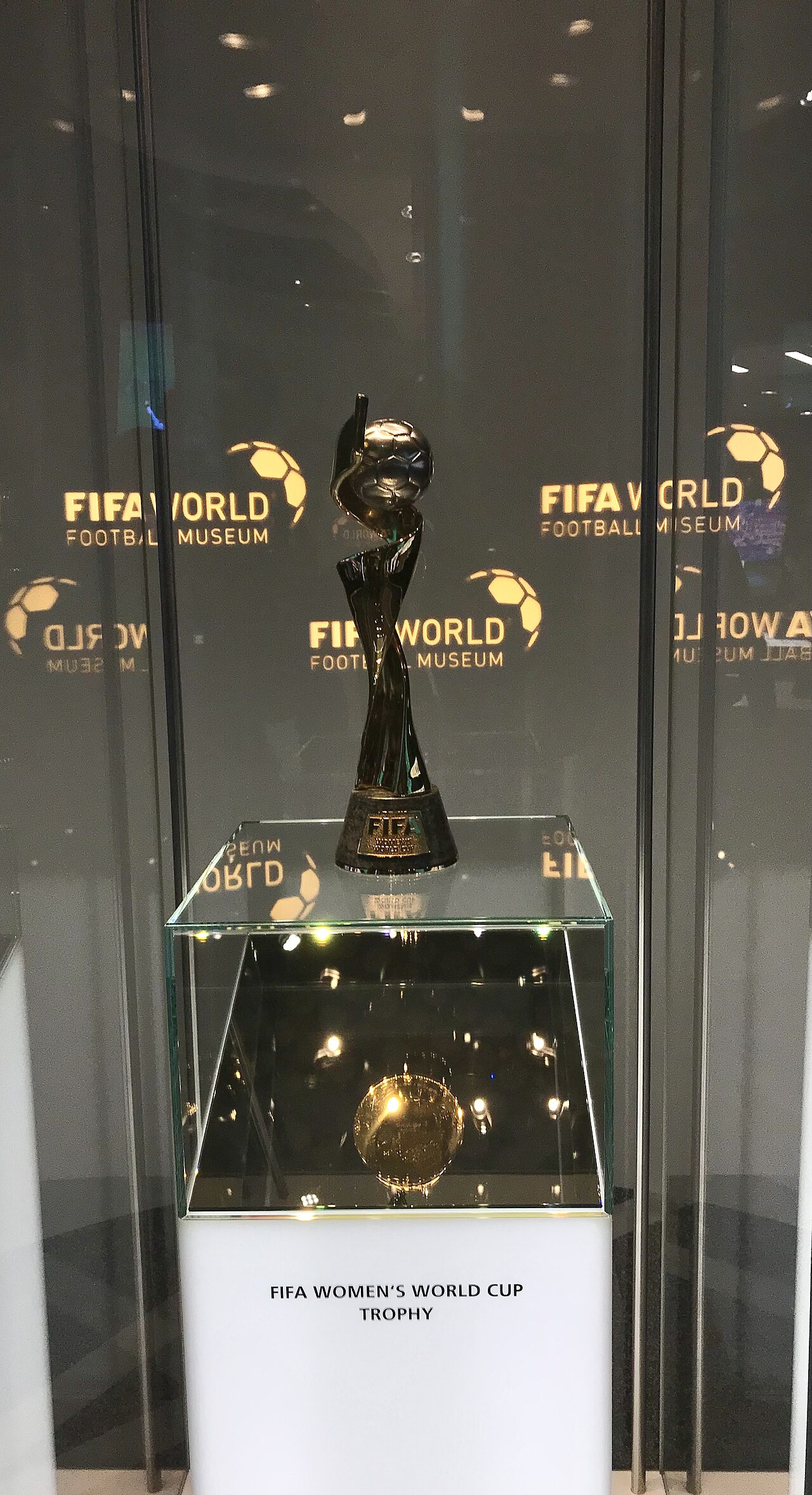 世界杯 世界杯·绿茵球场实景